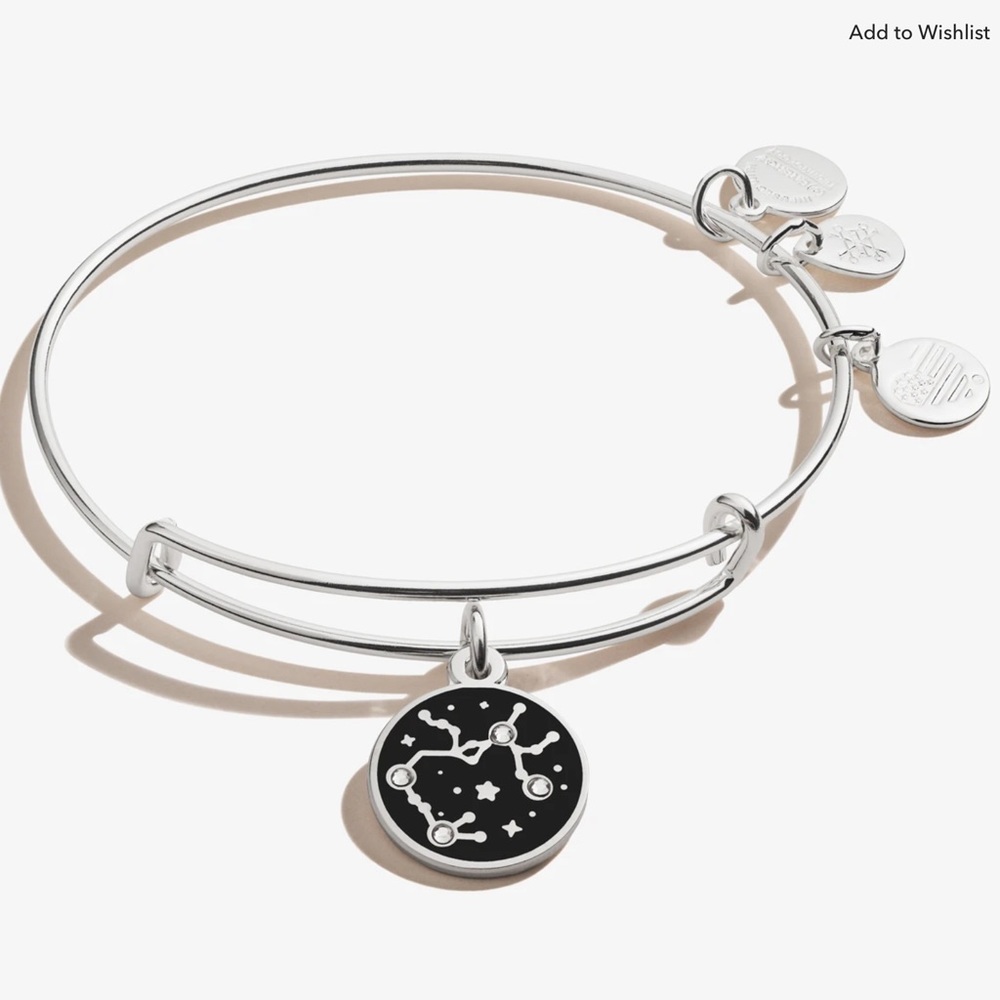 Sagittarius Zodiac Charm Bangle